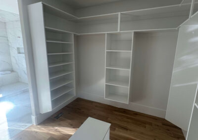 closet with custom built-ins